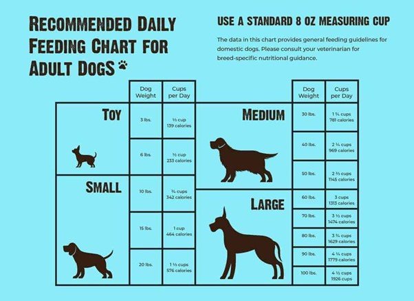 Feeding Instructions