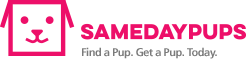 SameDayPups.com