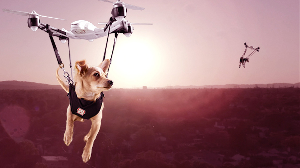 Play Video of Our Puppy Drone Delivery Service